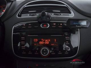 FIAT Punto usata 14
