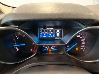 FORD Tourneo Connect usata, con Bracciolo