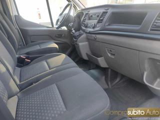FORD Transit usata 19