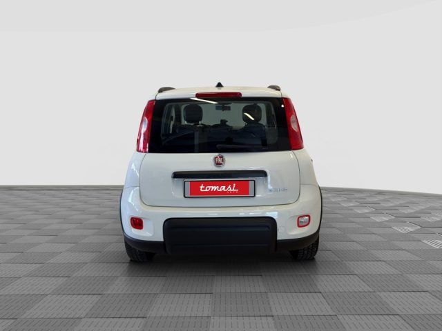 FIAT Panda usata 3