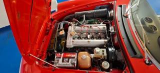 ALFA ROMEO Spider usata 39