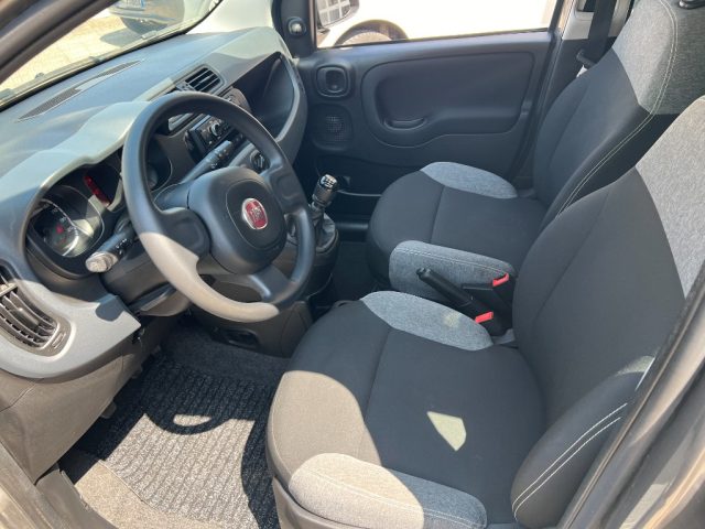 FIAT Panda usata 8