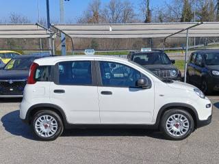 FIAT Panda usata, con Alzacristalli elettrici