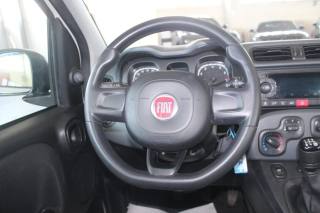 FIAT Panda usata, con Servosterzo