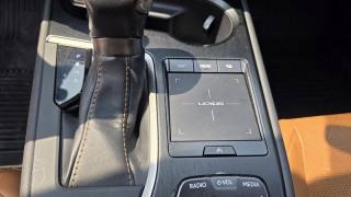 LEXUS UX 250h usata, con Sistema di navigazione