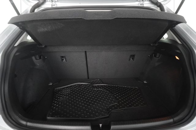 VOLKSWAGEN Polo usata 13