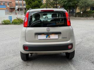FIAT Panda usata, con Boardcomputer