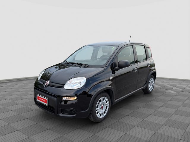 FIAT Panda usata 0