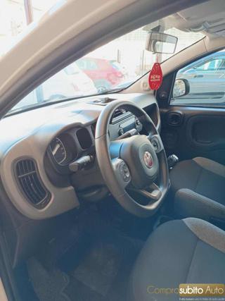 FIAT Panda usata 16
