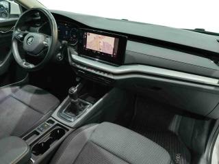 SKODA Octavia usata, con Controllo trazione