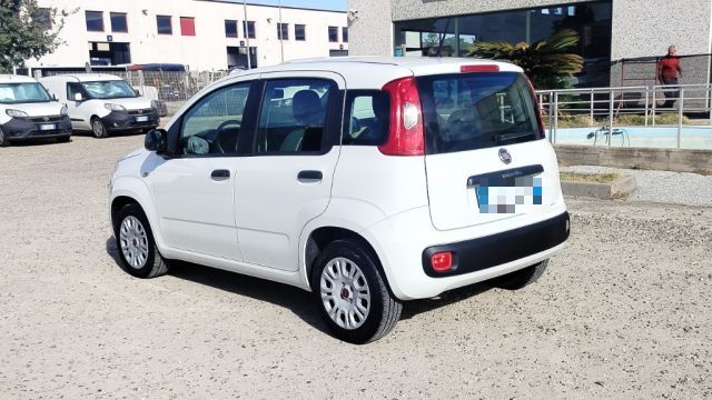 FIAT Panda usata, con Airbag Passeggero