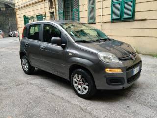 FIAT Panda usata 13