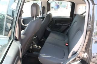 FIAT Panda usata, con Airbag testa
