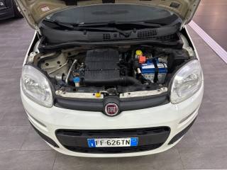 FIAT Panda usata 29