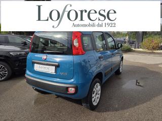FIAT Panda usata, con Airbag Passeggero