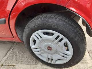 FIAT Panda usata 14