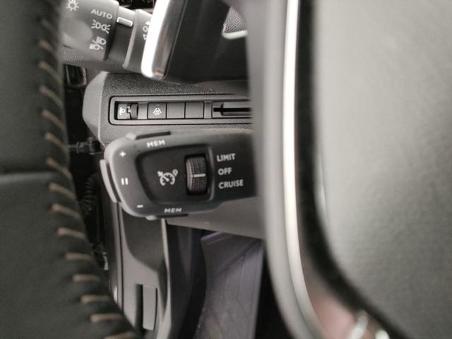 PEUGEOT 3008 usata, con Fendinebbia
