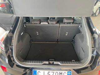FORD Puma usata, con Fendinebbia