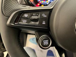 ALFA ROMEO Tonale usata, con Climatizzatore