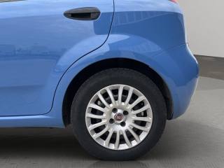 FIAT Punto usata 15