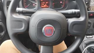FIAT Panda usata 29