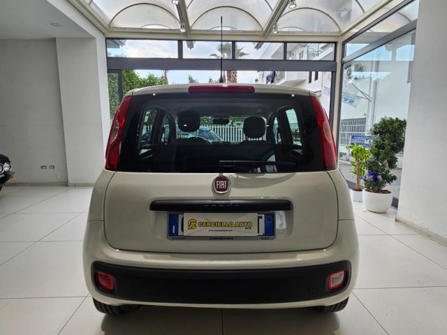 FIAT Panda usata, con Alzacristalli elettrici