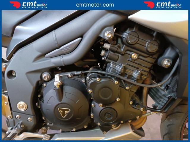 TRIUMPH Tiger 1050 usata 9