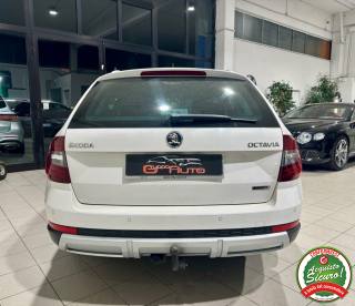 SKODA Octavia usata, con Alzacristalli elettrici