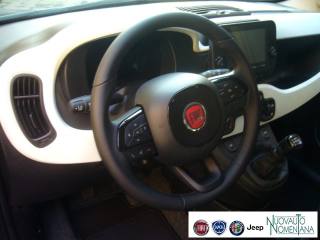 FIAT Panda Cross usata, con Vetri oscurati