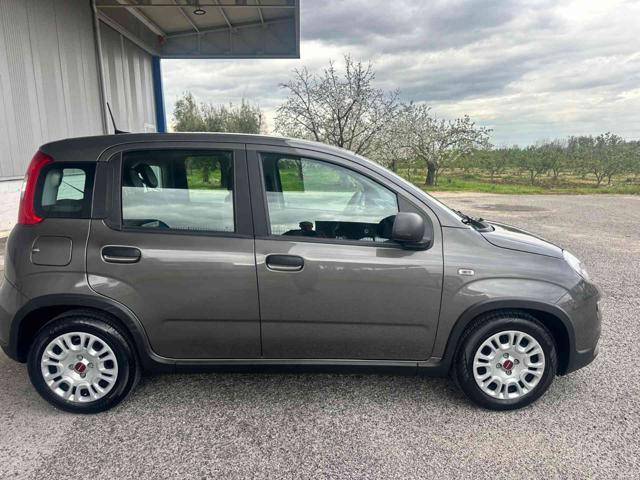 FIAT Panda usata, con Antifurto