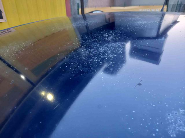 LANCIA MUSA usata 18