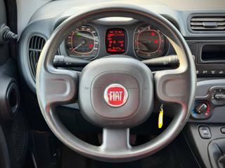 FIAT Panda usata 15