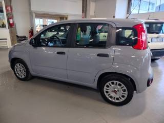 FIAT Panda usata, con Airbag testa
