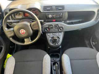 FIAT Panda usata, con Servosterzo
