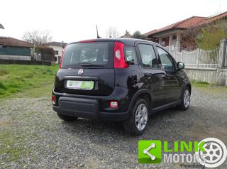 FIAT Panda usata, con Immobilizzatore elettronico