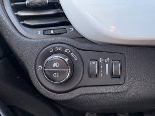 FIAT 500X usata, con ESP
