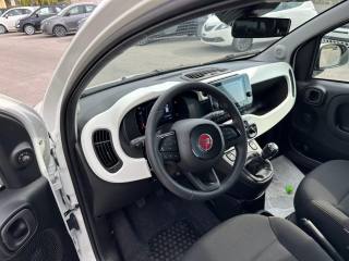 FIAT Panda Cross usata, con Immobilizzatore elettronico