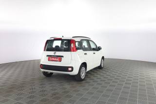 FIAT Panda usata 3