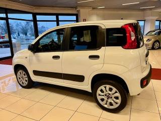 FIAT Panda usata, con ESP