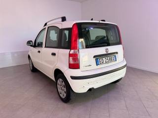 FIAT Panda usata 9