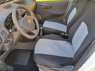 FIAT Punto usata 12