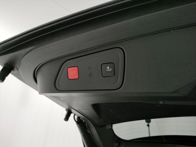 PEUGEOT 3008 usata, con Controllo vocale