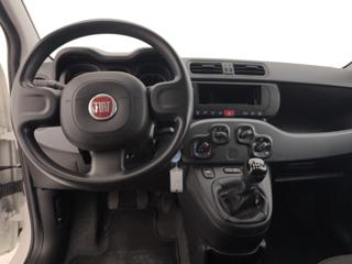 FIAT Panda usata 11