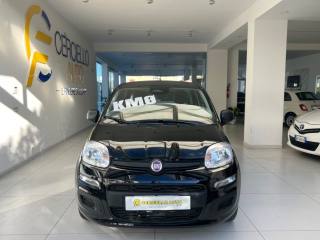 FIAT Panda 1.0 FireFly S&S Hybrid Pandina da ?149,00
