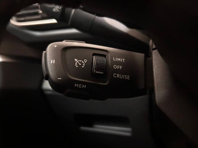 PEUGEOT 3008 usata, con Servosterzo
