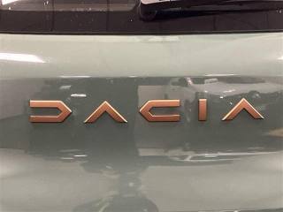 DACIA Spring usata 28