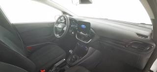 FORD Fiesta usata 50