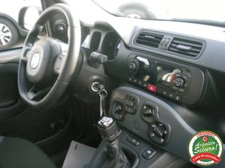 FIAT Panda usata, con Servosterzo