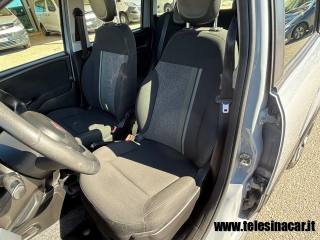 FIAT Panda Cross usata 20