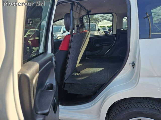 FIAT Panda usata 14